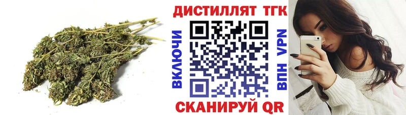 ТГК Wax  Моршанск 